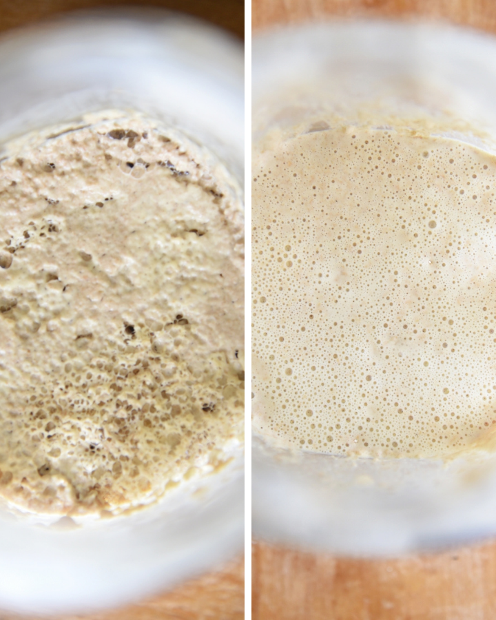 close up split image of a starter before and after feeding