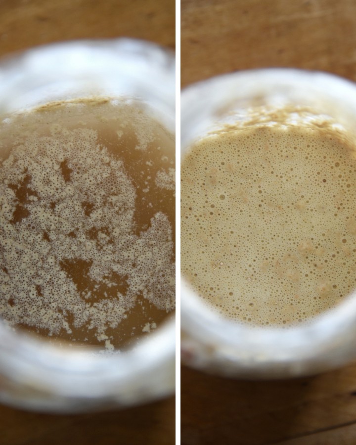 close up split image of a starter before and after feeding