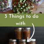 3 things to do with extra rhubarb pinterest graphic