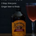 blueberry lime virgin cocktail pinterest graphic