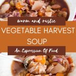 warm and rustic vegetable harvest soup - Pinterest graphic