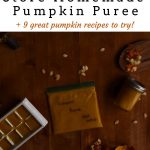 how to make and store pumpkin puree-pinterest graphic