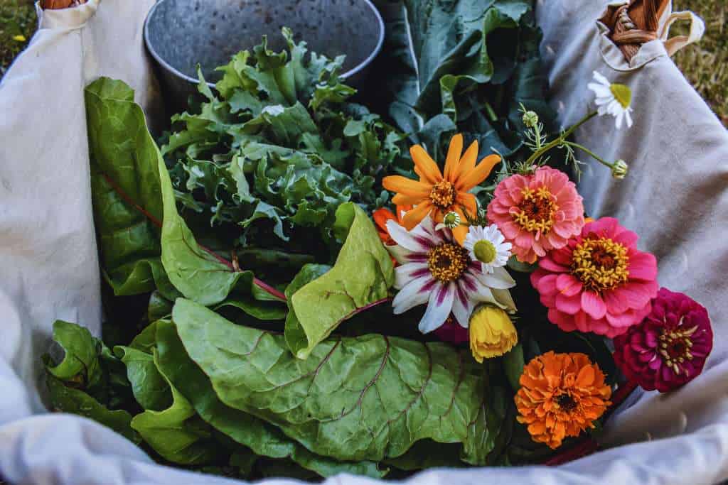 a stock photo of a basket of flowers and leafy greens, there is also a small tin pail int he corner of the basket.