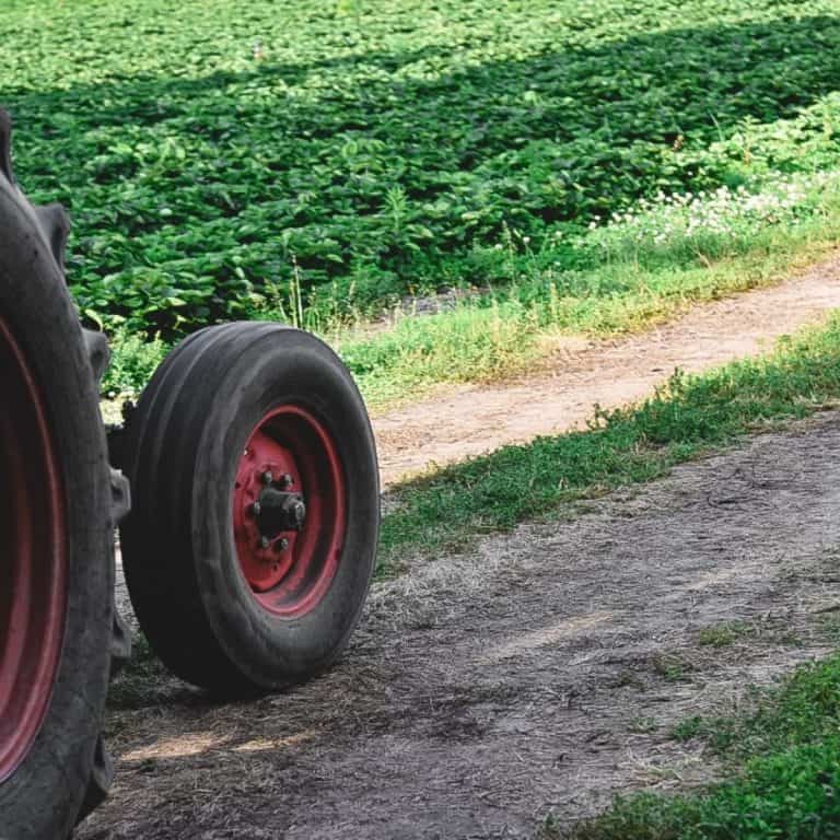 The Importance of Supporting Local Farmers