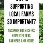why is supporting local farms so important - Pinterest graphic