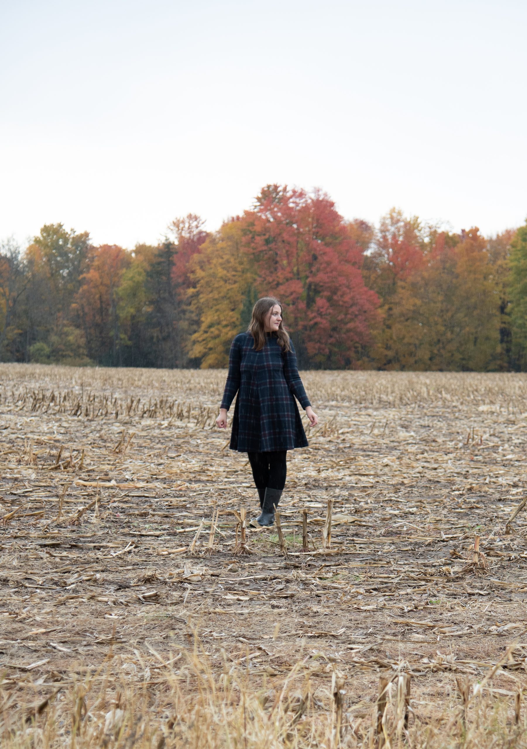 Easy Soy Sauce Noodles An Expression Of Food