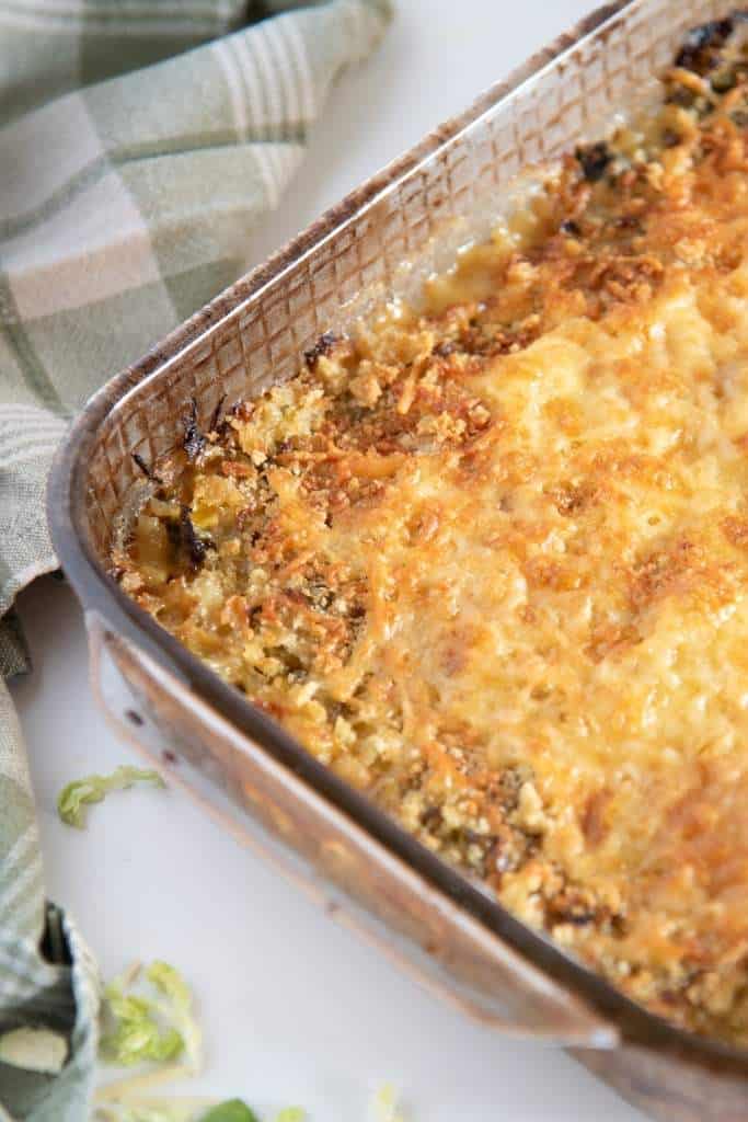a close up on a pan of gratin 