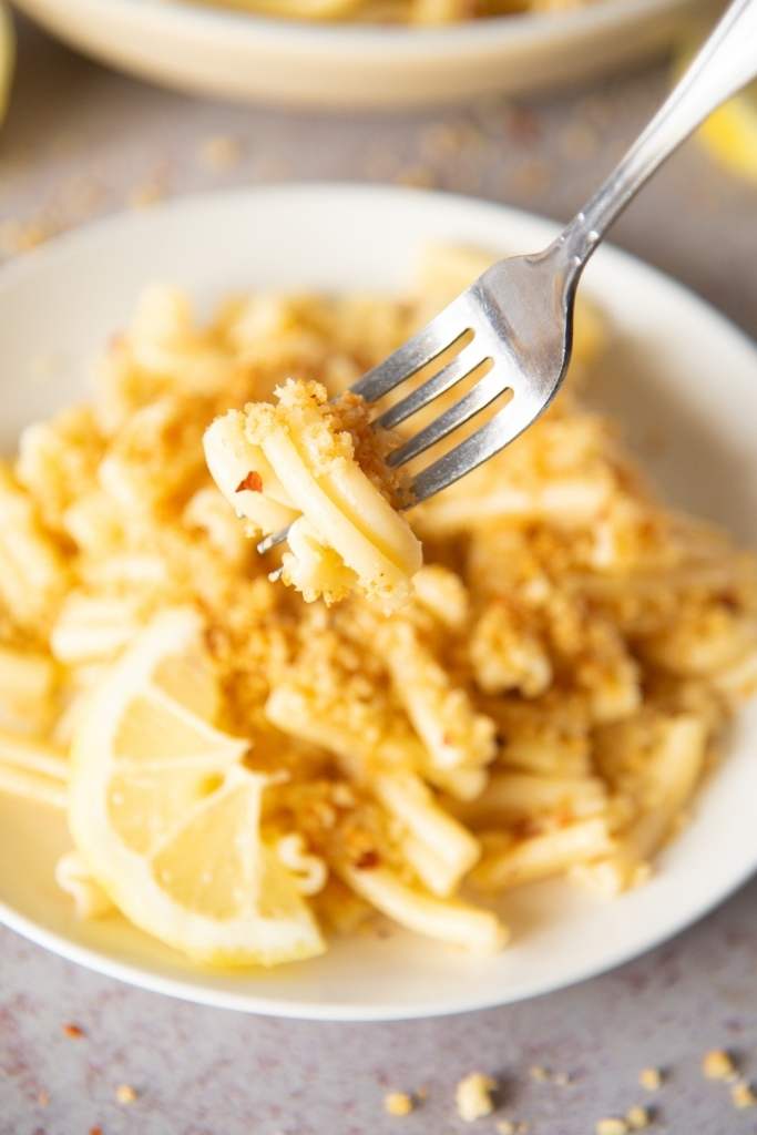 a close-up of a forkful of pasta being held over a plate of pasta 