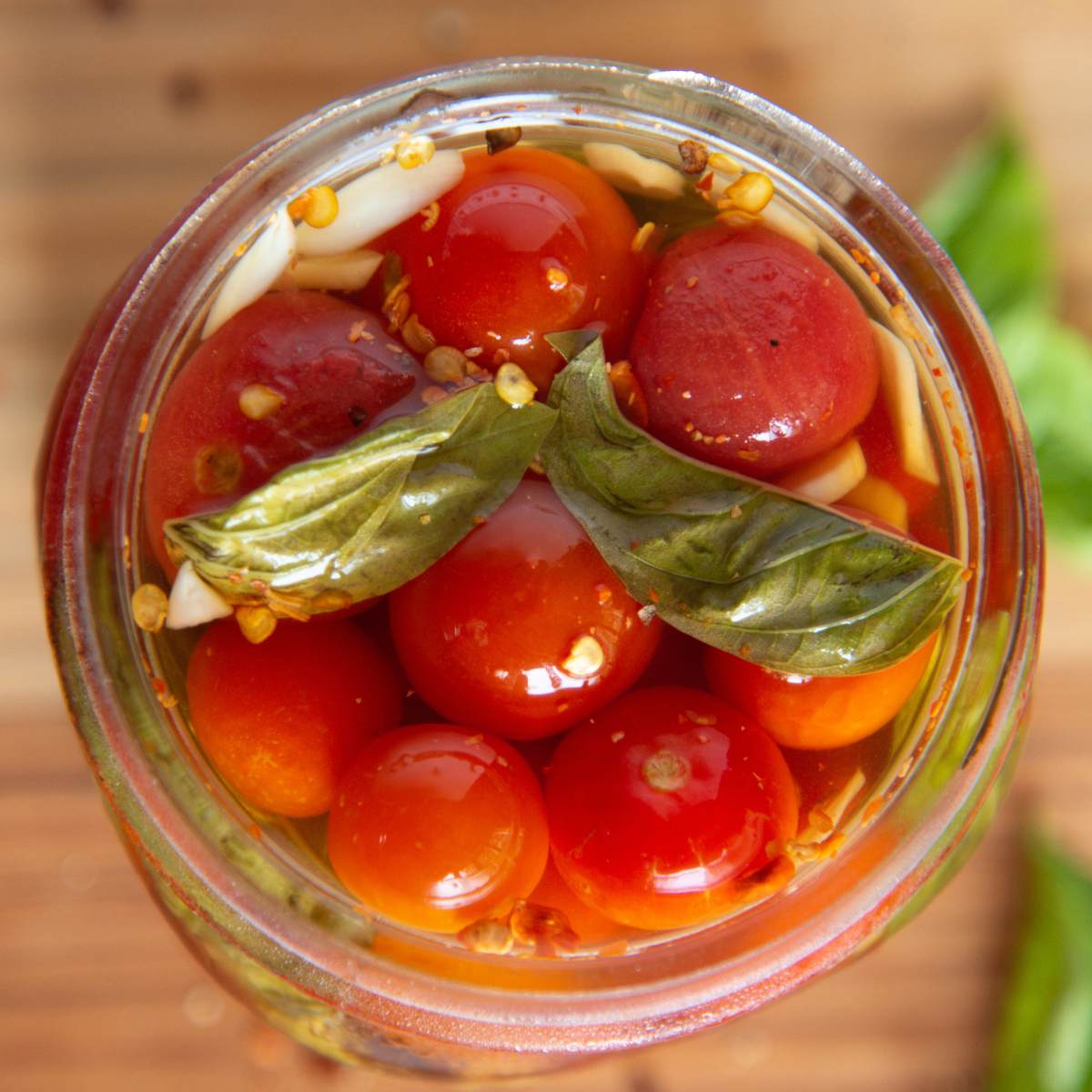 pickled cherry tomatoes featured image