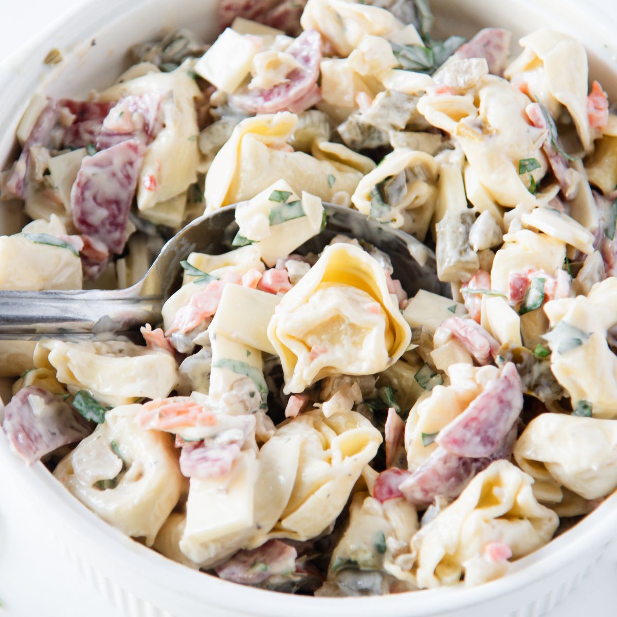 Italian Tortellini pasta salad featured image
